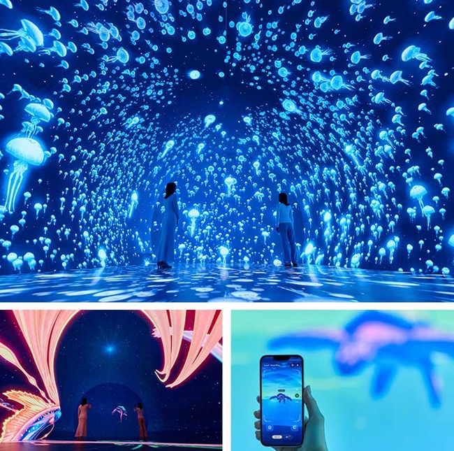 アクアクララとワンダリア横浜の世界観との親和性